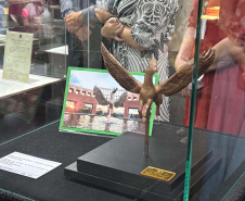 “333 anos de Curitiba”: nova exposição do Arquivo Público do Paraná destaca o papel das áreas verdes na identidade da Capital