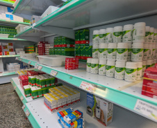 Aplicação de recursos e avanços: Conselho Estadual aprova gestão da Saúde em 2025