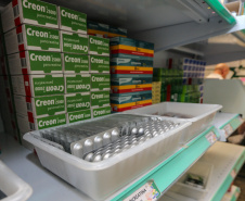 Aplicação de recursos e avanços: Conselho Estadual aprova gestão da Saúde em 2025