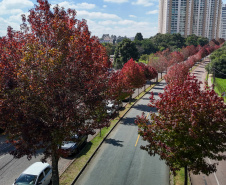 Outono começa na sexta com chuva acima da média e mais dias com amplitude térmica