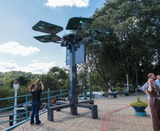 Conectividade e IA: startup cria “araucária digital” com apoio do Paraná Anjo Inovador