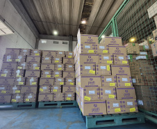 SESA - Pilar da saúde pública, Centro de Medicamentos do Paraná distribuiu mais de 443 milhões de medicamentos em 2025
