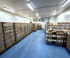 SESA - Pilar da saúde pública, Centro de Medicamentos do Paraná distribuiu mais de 443 milhões de medicamentos em 2025