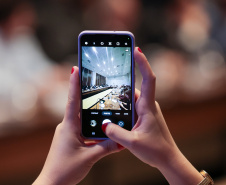 Vice novo relatório da OCDE