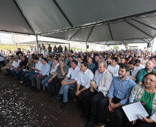 GUARAPUAVA - AEROPORTO