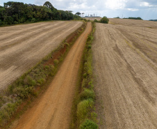R$ 353 milhões: Estado libera recursos para estradas rurais e maquinários em Guarapuava e região
