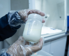 Banco de Leite do Hospital do Trabalhador precisa de doações