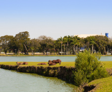 SIMEPAR - ABRIL MANTERÁ CHUVA ABAIXO E TEMPERATURA ACIMA DA MÉDIA NA MAIOR PARTE DO PARANÁ