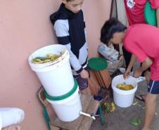 Escolas estaduais do Paraná levam clubes de ciências para encontro nacional em Brasília