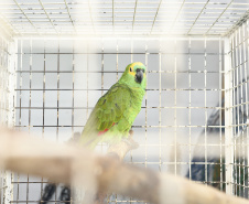 IAT e Unicentro renovaram o convênio para atendimento à fauna silvestre vitimada por mais dois anos.