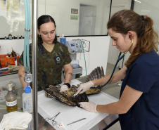 IAT e Unicentro renovaram o convênio para atendimento à fauna silvestre vitimada por mais dois anos.