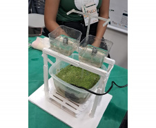 Rede de Clubes de Ciência fortalece protagonismo de meninas na pesquisa escolar