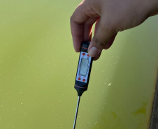 Dia Mundial da Água destaca projetos de educação ambiental em escolas do Paraná