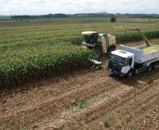Colégio agrícola alia ensino técnico e produção e atinge receita milionária Caixa de entrada