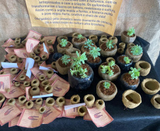 Escolas quilombolas do Paraná fortalecem pertencimento e relação com as comunidades