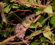 45 mil metros cúbicos de concreto e 5,5 mil toneladas de aço: Ponte de Guaratuba revoluciona a baía
