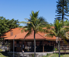 ESCOLA ILHA DAS COBRAS