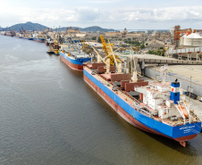Porto de Paranaguá registra maior operação de cevada em um único navio