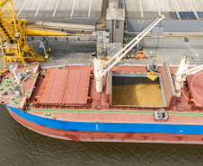Porto de Paranaguá registra maior operação de cevada em um único navio