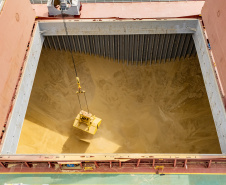 Porto de Paranaguá registra maior operação de cevada em um único navio