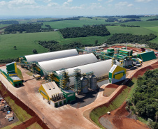 COOPERATIVA TRADIÇÃO Pato Branco