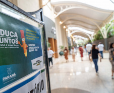 Com avanços em todas as etapas de ensino, Estado divulga resultados da Prova Paraná Mais 2025 aos municípios