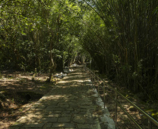 ESCOLA ILHA DAS COBRAS