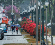 SEMANA SERÁ DE TEMPERATURAS AMENAS E CHUVA ISOLADA NO PARANÁ
