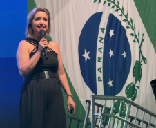 SESA - União, Estado e municípios debatem o fortalecimento da Atenção Primária à Saúde no Paraná