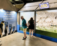 Sugerstão | Reforma patrocinada pela Portos do Paraná melhora visitação no Aquário de Paranaguá