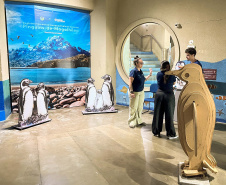 Sugerstão | Reforma patrocinada pela Portos do Paraná melhora visitação no Aquário de Paranaguá