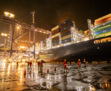 Porto de Paranaguá registra maior desembarque de veículos elétricos do Paraná