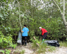 Mutirão da Portos do Paraná recolhe quase 200 kg de resíduos em manguezais