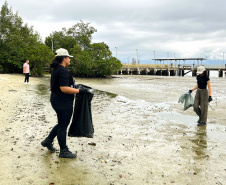 Mutirão da Portos do Paraná recolhe quase 200 kg de resíduos em manguezais