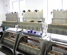 IDR - Logística e Confiança: O Papel Estratégico do IDR-Paraná no Porto de Paranaguá