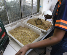 IDR - Logística e Confiança: O Papel Estratégico do IDR-Paraná no Porto de Paranaguá