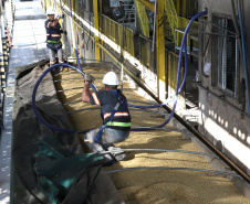 IDR - Logística e Confiança: O Papel Estratégico do IDR-Paraná no Porto de Paranaguá