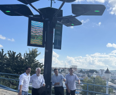 INOVA PR - Startup cria “araucária digital” com apoio do Paraná Anjo Inovador