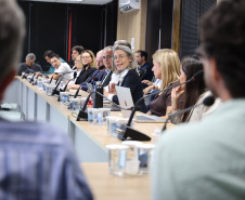 Governo do Paraná e Banco Mundial se reúnem para preparar documentação do PSH