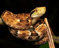 45 mil metros cúbicos de concreto e 5,5 mil toneladas de aço: Ponte de Guaratuba revoluciona a baía