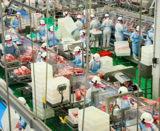 Cada R$ 1 investido com o Paraná Competitivo gera R$ 3,79 no PIB do Paraná, aponta o estudo