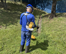 Programa Mãos Amigas é ampliado para o Núcleo Regional de Apucarana e passa a atender mais 63 escolas