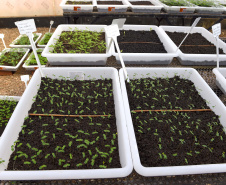 IAT - Paraná Mais Verde