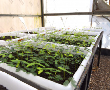 IAT - Paraná Mais Verde