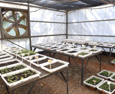 IAT - Paraná Mais Verde