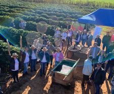 IDR - Unidade Beneficiadora de Café-Lidianópolis