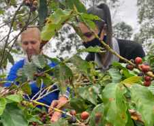 IDR - Unidade Beneficiadora de Café-Lidianópolis