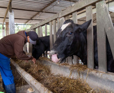 Colégio agrícola alia ensino técnico e produção e atinge receita milionária Caixa de entrada