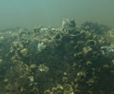 45 mil metros cúbicos de concreto e 5,5 mil toneladas de aço: Ponte de Guaratuba revoluciona a baía