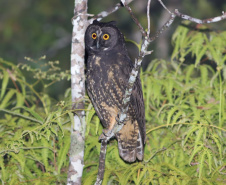 45 mil metros cúbicos de concreto e 5,5 mil toneladas de aço: Ponte de Guaratuba revoluciona a baía